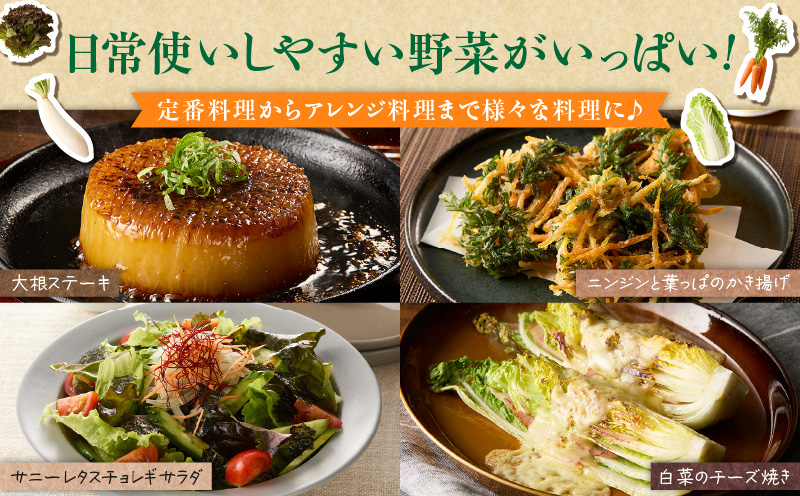 三浦の匠野菜　M127-001