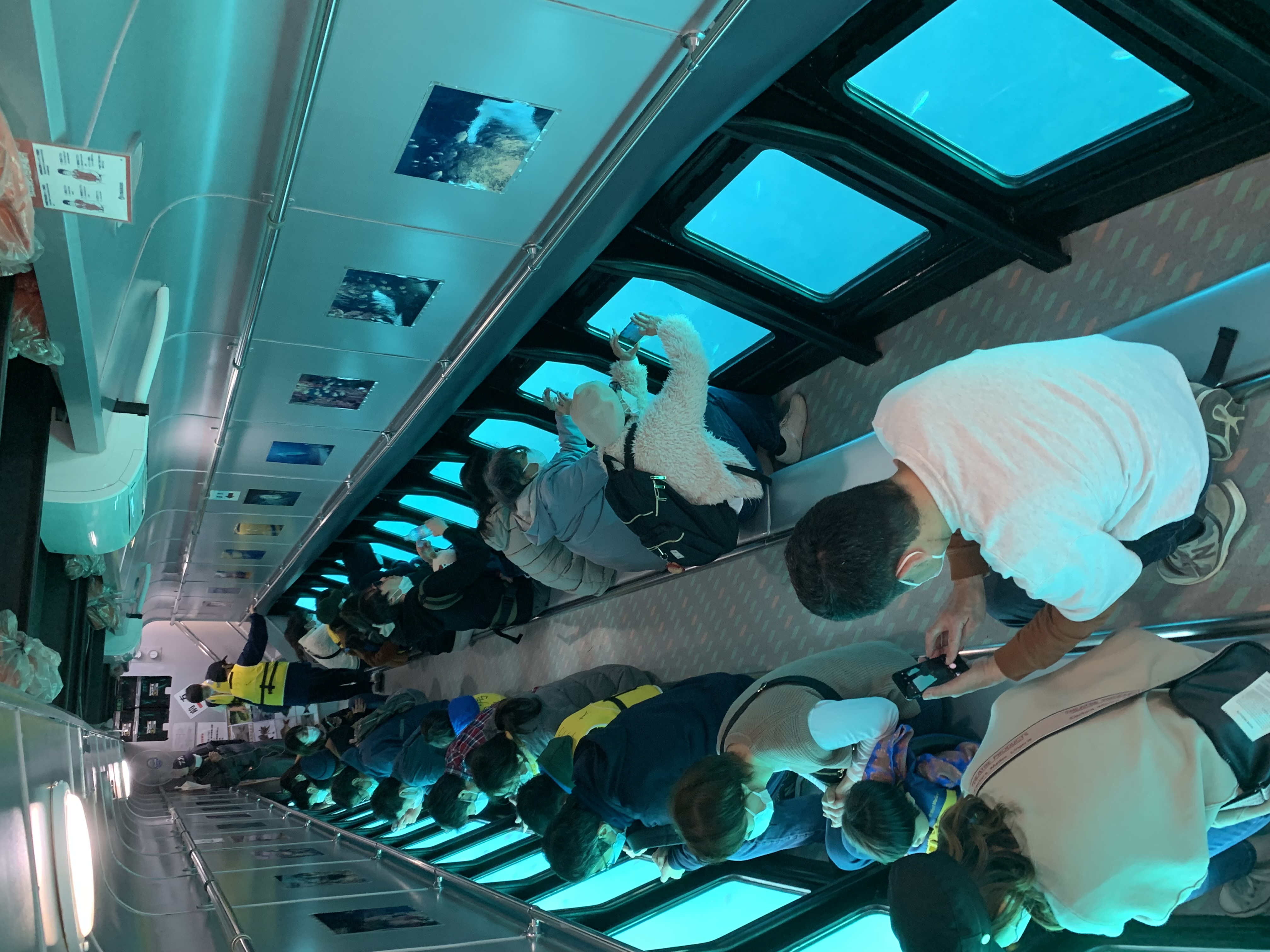 水中観光船にじいろさかな号乗船券ペアチケット＋【三崎港うらり】手ぶらでBBQ機材貸出ペアチケット　M033-005