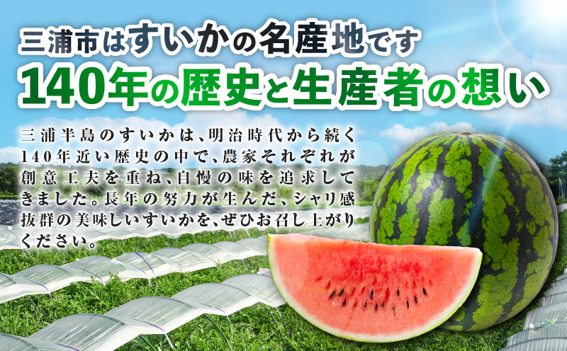 ãç³åºŠ12床以äžãã·ã£ãªããšçãäžæµŠã®ç¹å€§çã¹ã€ã« ãŸã€ãã°ãã11 çŸ
ç 5L 9kg以äžã1çãM107-002-01