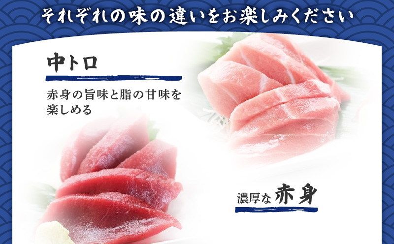 魚音おまかせ干物＆まぐろセット　M006-014