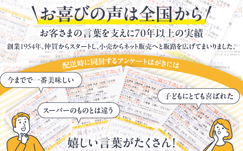 【定期便】特選寿司用南まぐろ 1本 頭付き（1〜12回配送）　M005-T08