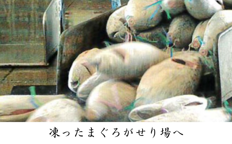 三崎マグロ 卸問屋カネシメの本鮪 中トロ・赤身切れてるお刺身セット＋目鉢鮪 ネギトロ　M070-007