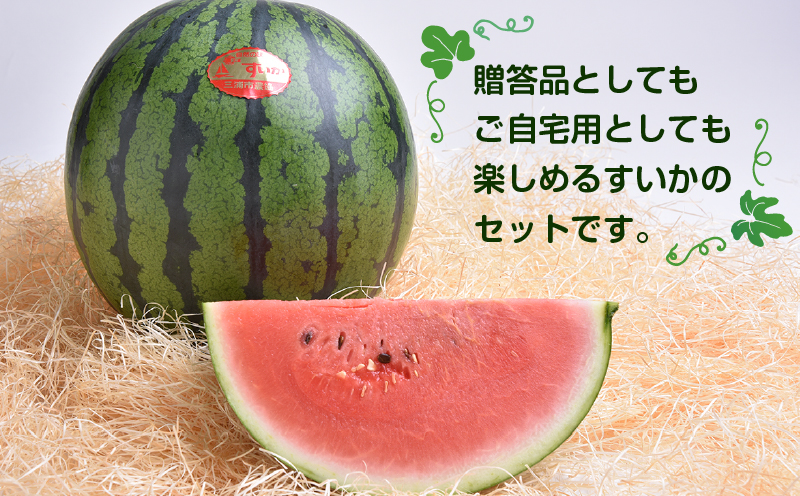 神奈川県三浦市産大玉すいか（2個）　M109-007