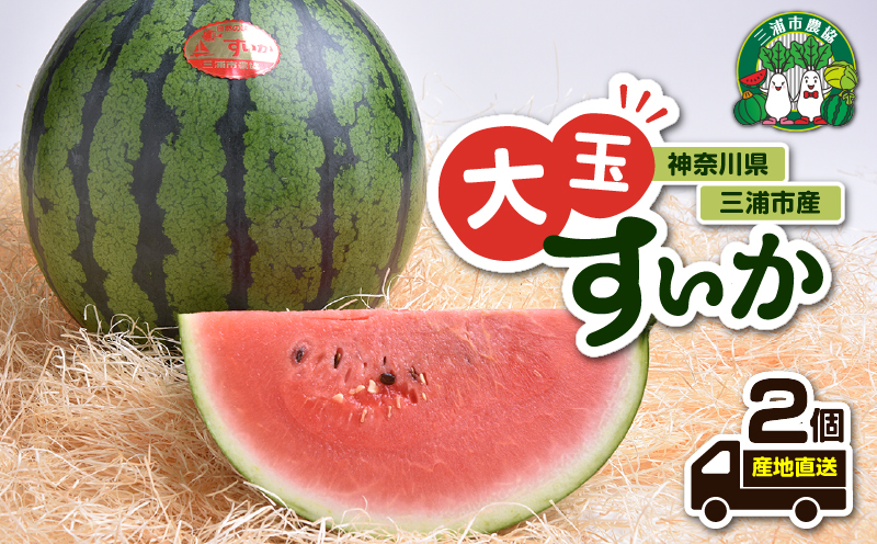 神奈川県三浦市産大玉すいか（2個）　M109-007