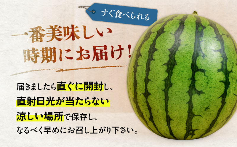 【三浦農家直送】中玉スイカ（2個入り）　M003-002