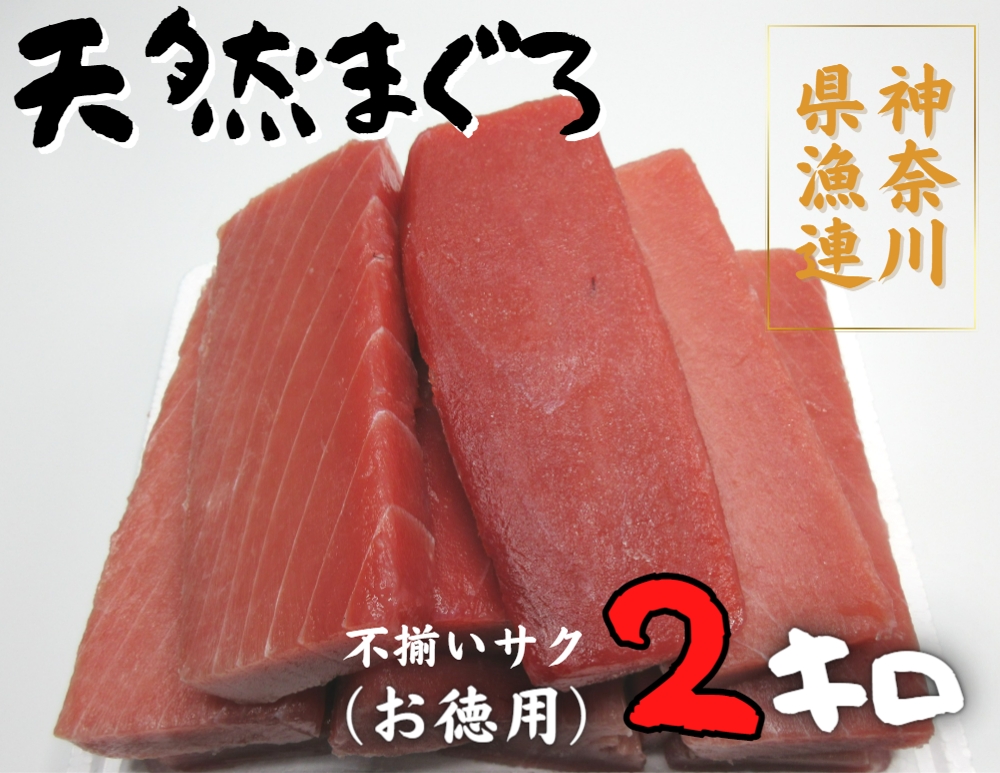 A24-005 神奈川県漁連　天然マグロ 2ｋｇ【お徳用】不揃いサク