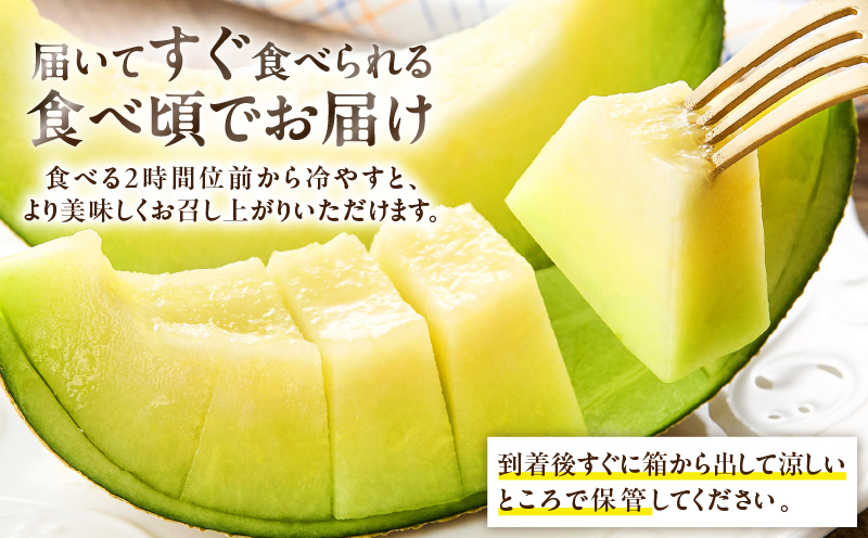 贈答用メロン　M001-001