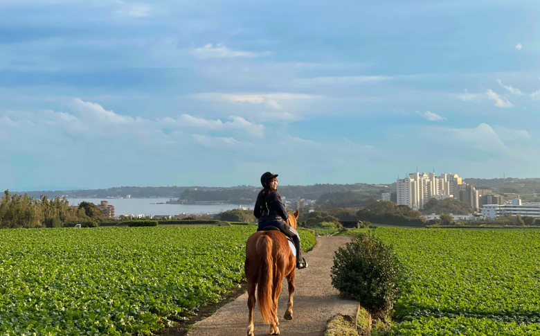B84-001 馬と風光明媚な三浦の街と海岸で過ごす　馬に乗って三浦をお散歩～海岸外乗120分～