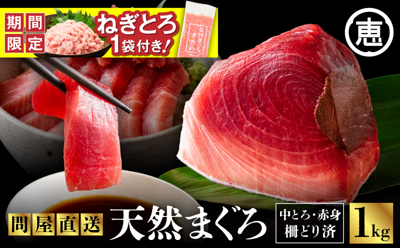 【期間限定 ねぎとろ付き】とにかくまぐろの質に自信あり！問屋直送！天然三崎まぐろ 1kg 中トロ赤身　M020-011-cp