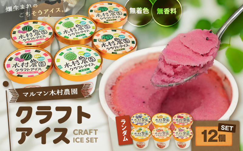 マルマン木村農園クラフトアイス（12個入り）　M129-001-02