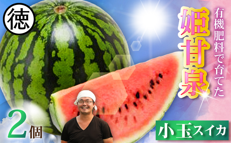 有機肥料で育てた小玉スイカ【姫甘泉】（2個入り）　M002-008
