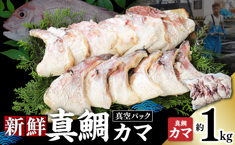 新鮮真鯛カマ （約1kg）　M079-011-01