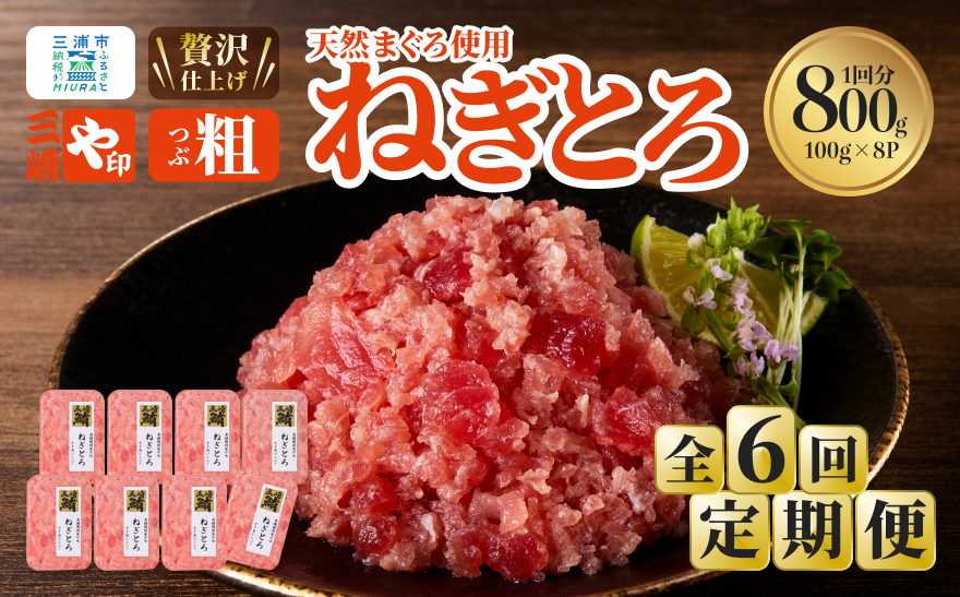 【全6回定期便】三崎港直送！三崎マグロ本格ねぎとろ（大鉢マグロ使用）　M063-T08