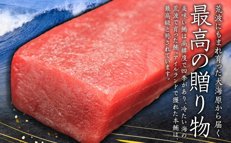 天然本鮪ネギトロ 250g×2パック　M007-005