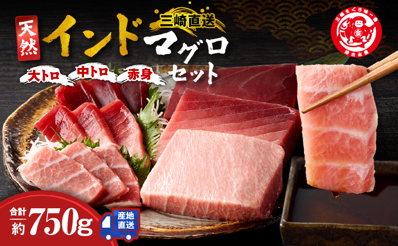 三崎マグロ 鈴木水産 天然インドマグロ（大トロ・中トロ・赤身）セット　M105-001