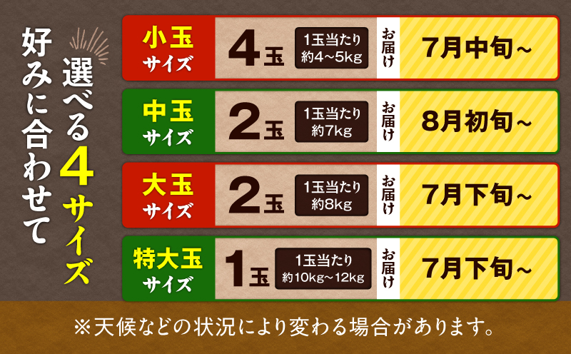 ãäžæµŠèŸ²å®¶çŽéãå°çã¹ã€ã«ïŒ4åå
¥ãïŒãM003-001