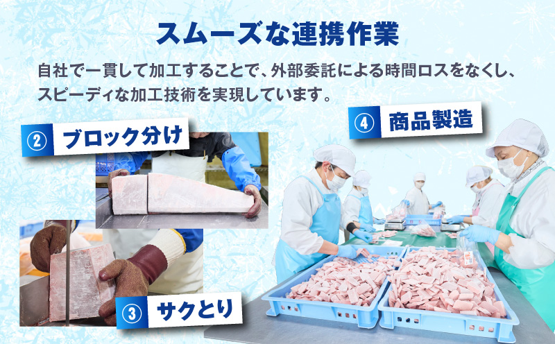 神奈川県漁連 天然本マグロ 赤身サク　M077-012-01