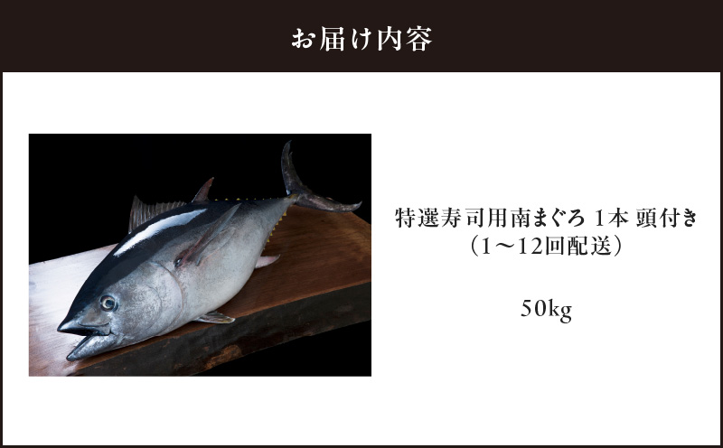 【定期便】特選寿司用南まぐろ 1本 頭付き（1〜12回配送）　M005-T08
