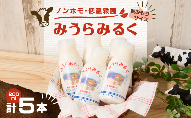 ＜飲みきりサイズ＞みうらみるく 200ml×5本　M091-001-02【有限会社コーシンファーム】