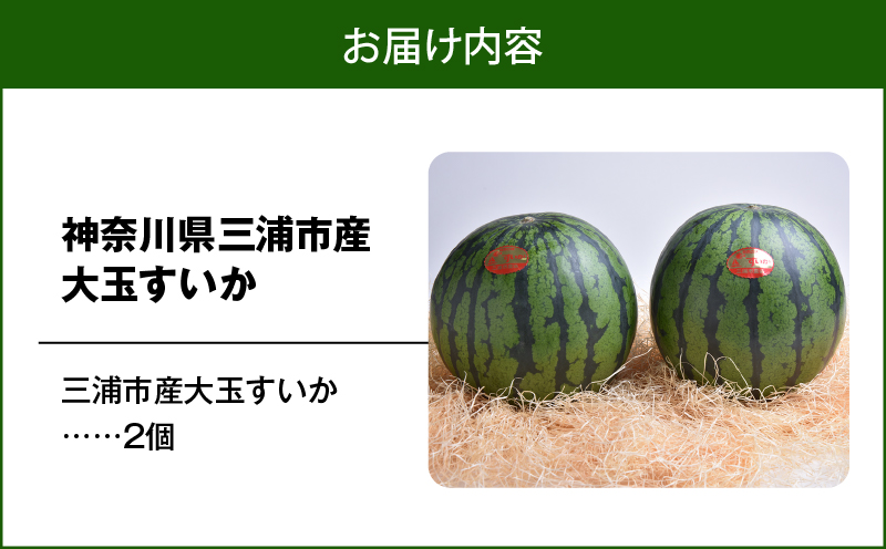 神奈川県三浦市産大玉すいか（2個）　M109-007