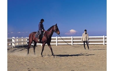 乗馬体験　M032-001