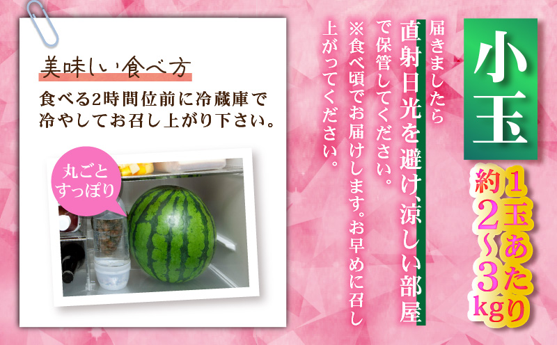 有機肥料で育てた小玉スイカ【姫甘泉】（2個入り）　M002-008