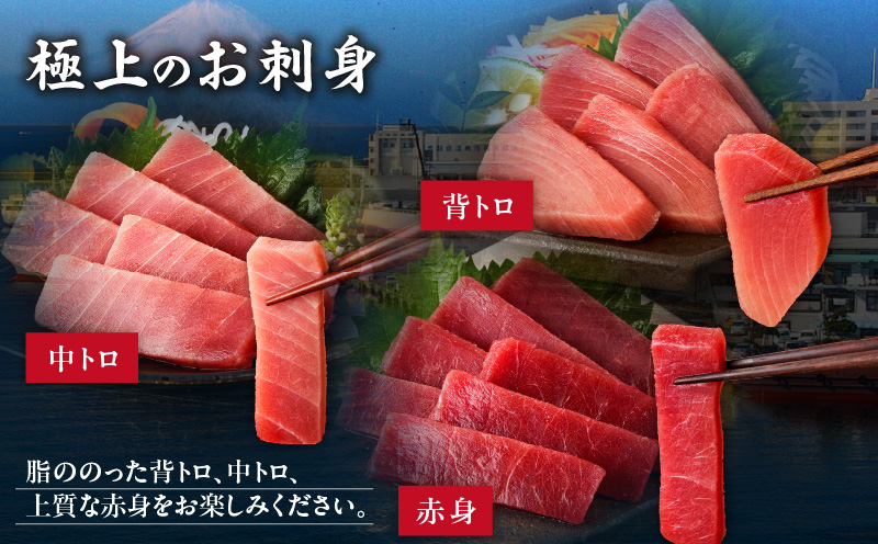 本物の味をお届け！厳選！天然三崎まぐろ【希少部位】背トロ＆中トロ・赤身　M005-039