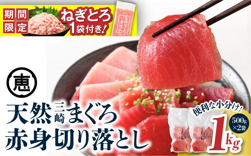 【期間限定 ねぎとろ付き】＜選べる＞天然三崎まぐろ 赤身 切落し 1kg（500g×2袋）　M020-014-01-cp
