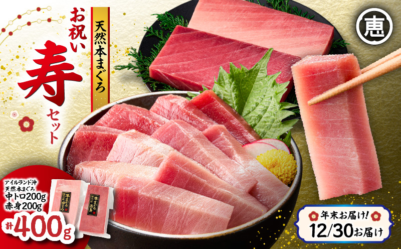 【年末・正月用/12月30日お届け】天然 本まぐろ お祝い寿セット 中トロ200g 赤身200g 迎春 三崎まぐろ 三崎恵水産　M020-021-02