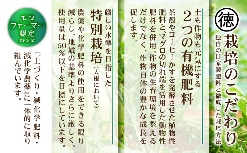 有機肥料で育てた大玉スイカ【赤い彗星】（2個入り）　M002-004