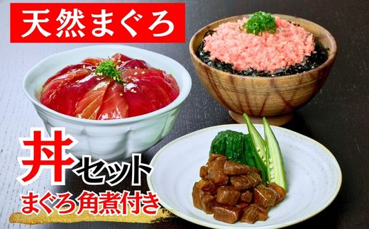 B16-017 三崎まぐろ2色丼セット まぐろの角煮付　520ｇ（漬けまぐろ200ｇ,目鉢まぐろすきみ200ｇ,まぐろの角煮120ｇ）