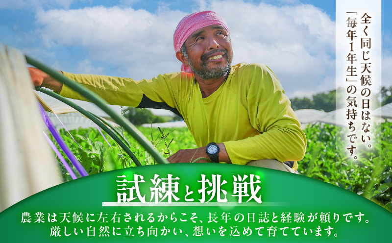 マダーボールスイカ　M001-002