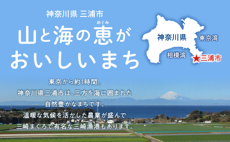 ç¥å¥å·çäžæµŠåžãè¿ç€Œåãªããå¿æŽå¯é 蟲æ¥ã«é¢ããäºæ¥ãå¿æŽïŒ1,000åïŒãMN-1000-1