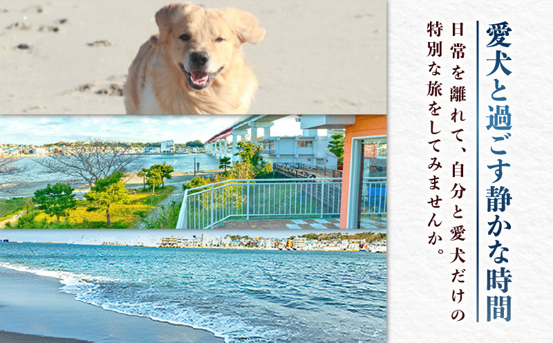 ペットと泊まるリゾートホテル Doki Doggie 城ヶ島遊ヶ崎BASE 大人1名1泊2食付き　M131-001-01