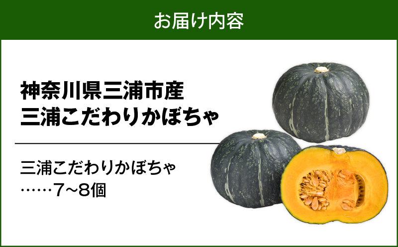神奈川県三浦市産 三浦こだわりかぼちゃ（7～8個）　M109-004