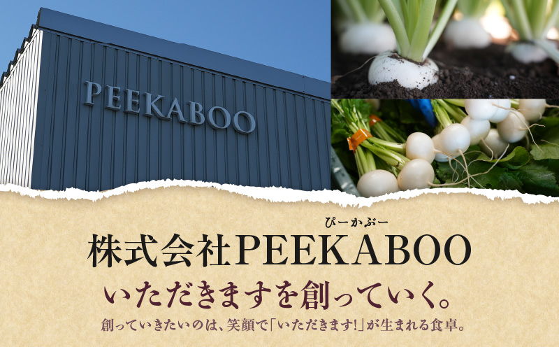 三浦の匠野菜　M127-001