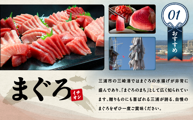 あとからセレクト【ふるさとギフト】250万円　M000-022