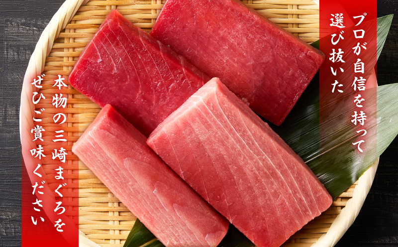 本物の味をお届け！厳選！天然三崎まぐろ【希少部位】背トロ＆中トロ・赤身　M005-039