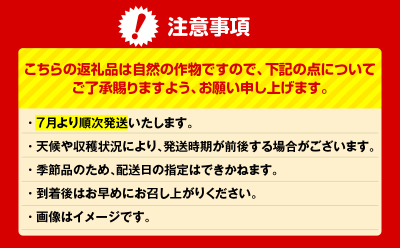 神奈川県三浦市産大玉すいか（2個）　M109-007