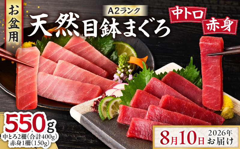 【お盆用】天然目鉢鮪 中とろ2柵・赤身1柵＜A2ランク＞（2026年8月10日にお届け）　M005-005