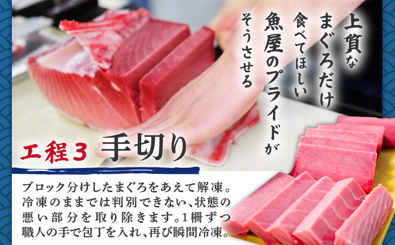 老舗魚屋直営店！まぐろ食堂七兵衛丸ごちそうお食事券（1名様分）　M006-023-01