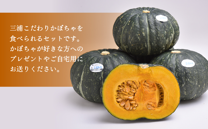 神奈川県三浦市産 三浦こだわりかぼちゃ（3個）　M109-005