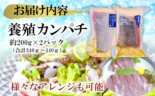 B15-034 【高鮮度】鮮魚活〆カンパチお刺身セット