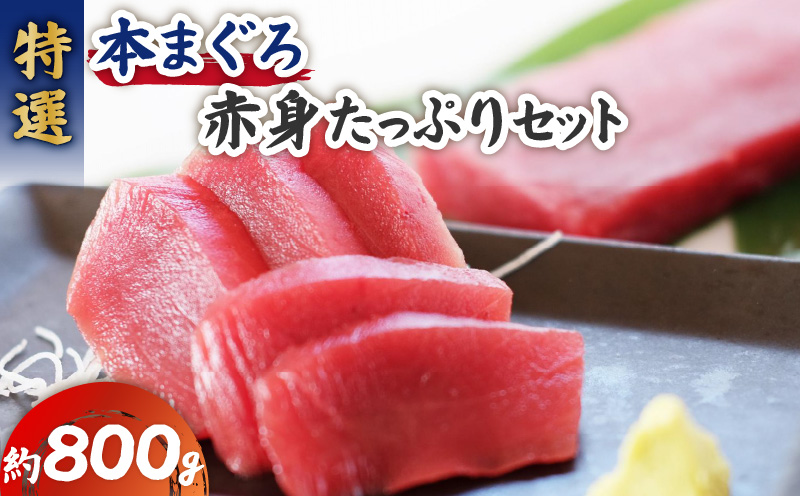 特選本まぐろ 赤身たっぷりセット　M006-012