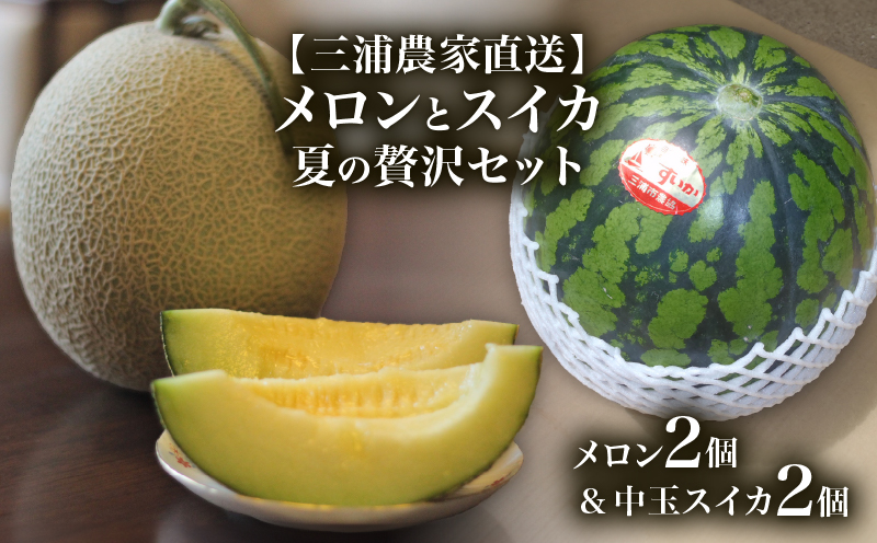 【三浦農家直送】メロンとスイカ夏の贅沢セット　M003-009