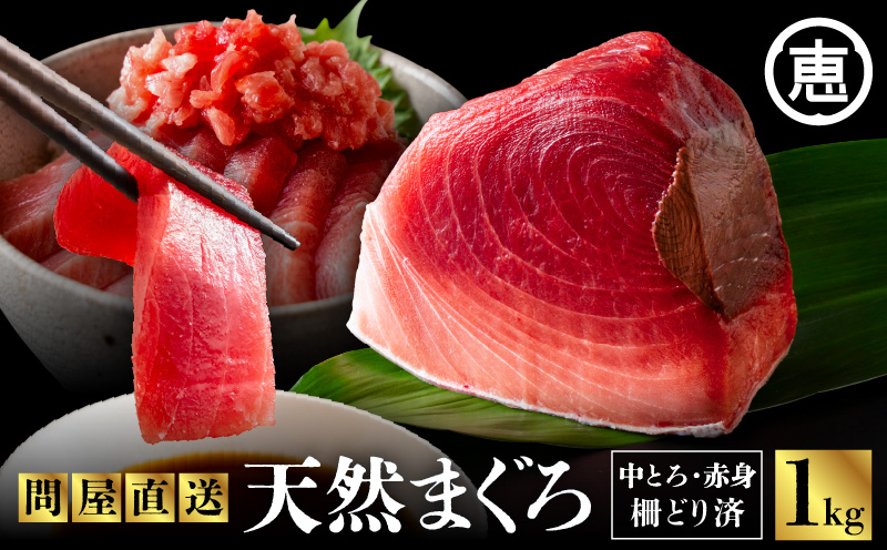 とにかくまぐろの質に自信あり！問屋直送！天然三崎まぐろ 1kg 中トロ赤身　M020-011