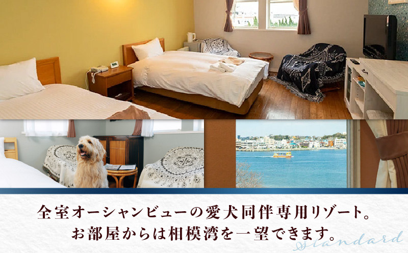 ペットと泊まるリゾートホテル Doki Doggie 城ヶ島遊ヶ崎BASE 大人1名1泊2食付き　M131-001-01