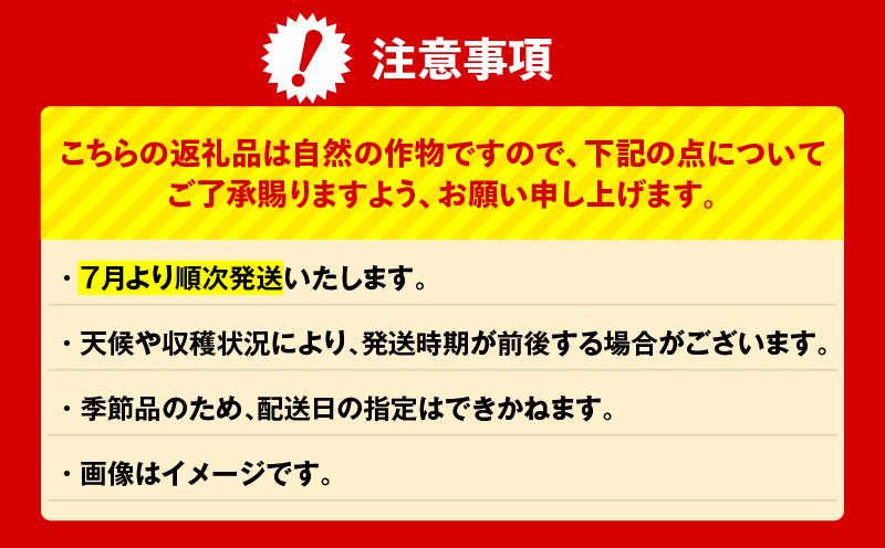 神奈川県三浦市産 三浦こだわりかぼちゃ（7～8個）　M109-004