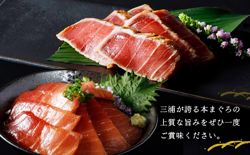 【高島屋バイヤーセレクション】天然本まぐろ中とろ2種食べ比べセット　M038-010