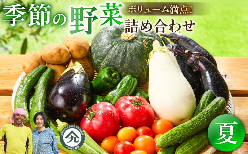 ボリューム満点！季節の野菜詰め合わせ（夏）　M001-004-01